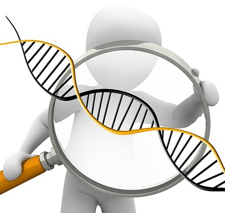 Genetic Testing Interpretation